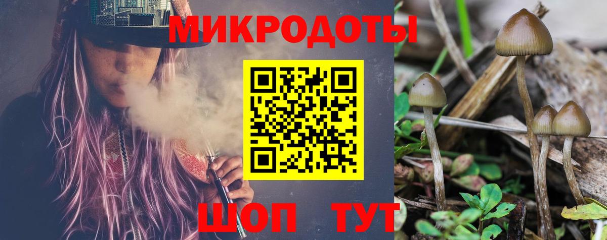 даркнет сайт  Галлюциногенные грибы мицелий  Курган  Вход с VPN  Галлюциногенные грибы Cubensis 